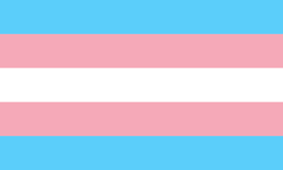跨性别骄傲旗
